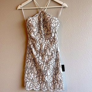Beige & Ivory Lace Body-con Dress